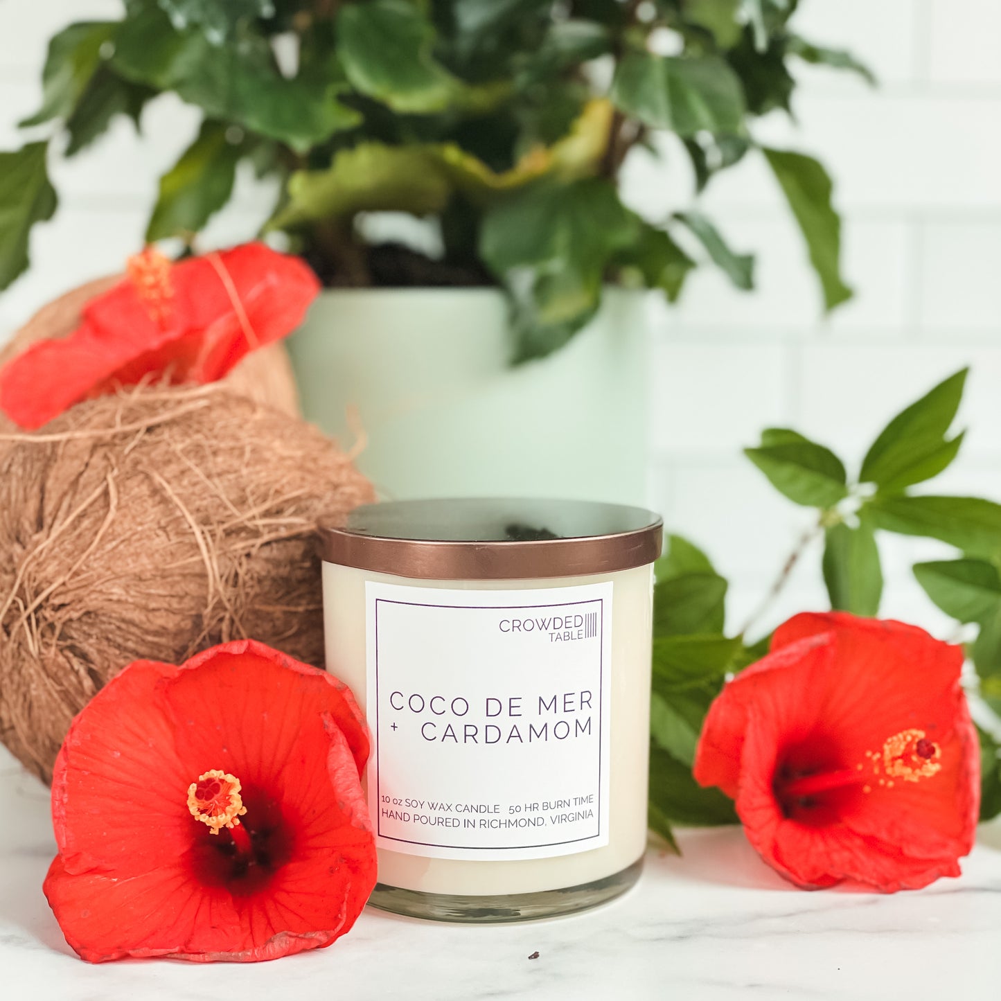 Coco de Mer + Cardamom 10 oz. Pure Soy Wax Candle